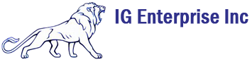IG Enterprise logo
